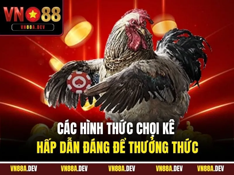 Các hình thức chọi kê hấp dẫn đáng để thưởng thức
