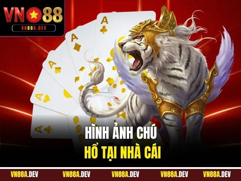 Hình ảnh chú Hổ tại nhà cái
